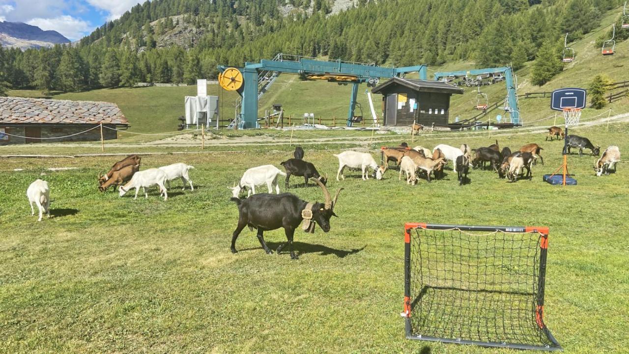 Locanda Ristorante Bar Del Lago Chamois Kültér fotó